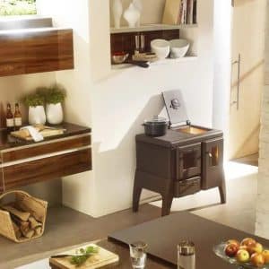 Poele avec four Iron Dog 06