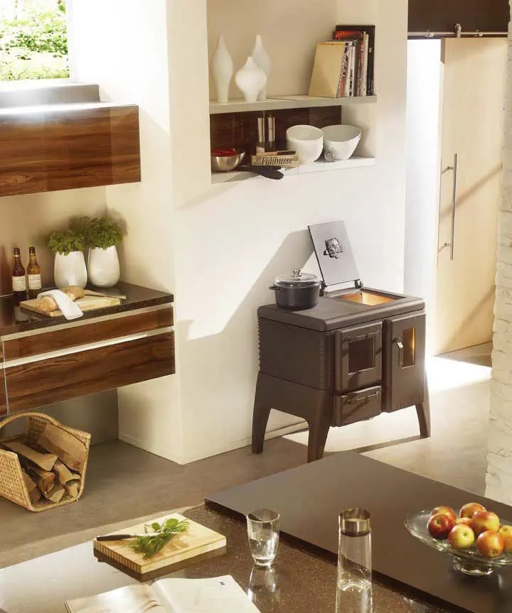 Poele avec four Iron Dog 06