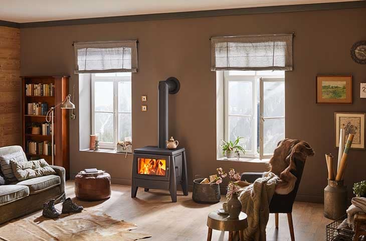 Poele a bois en fonte Iron Dog 07